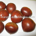 Danton Jinhua Fresh Chestnut